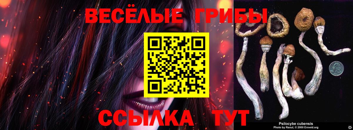 Псилоцибиновые грибы мухоморы  Псилоцибиновые грибы прущие грибы  Бердск  Вход с VPN 